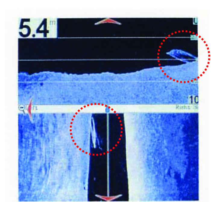 Both downward and side views are displayed on the sonar image display. On the top left, the depth of the water is displayed. From the screen, it can be seen that despite the considerable cloudiness of the water, the images are mostly unaffected. Additionally, the screen shows that the bottom of the river is relatively smooth, the victim is lying at the bottom at a depth of around 5.4 meters and the position is directly under the search boat and on the left in the direction of travel.)