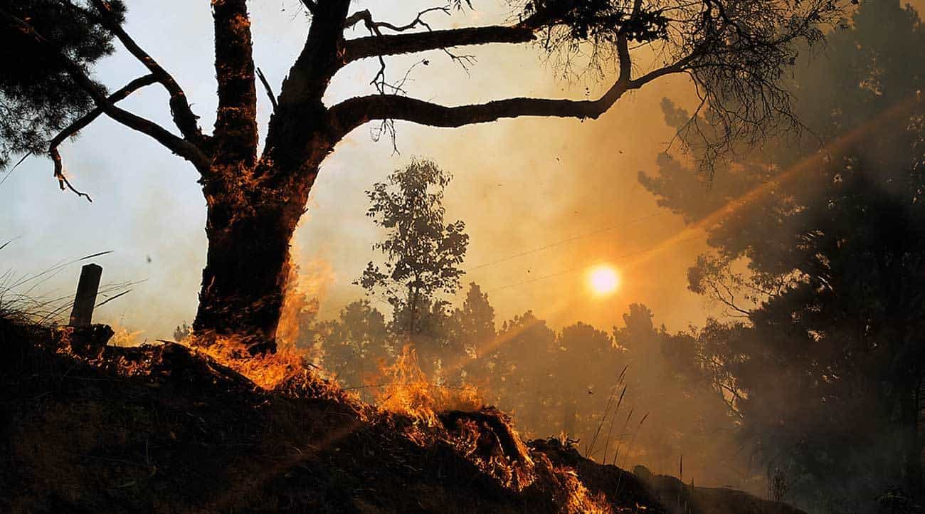 The Sampson Flat fire.