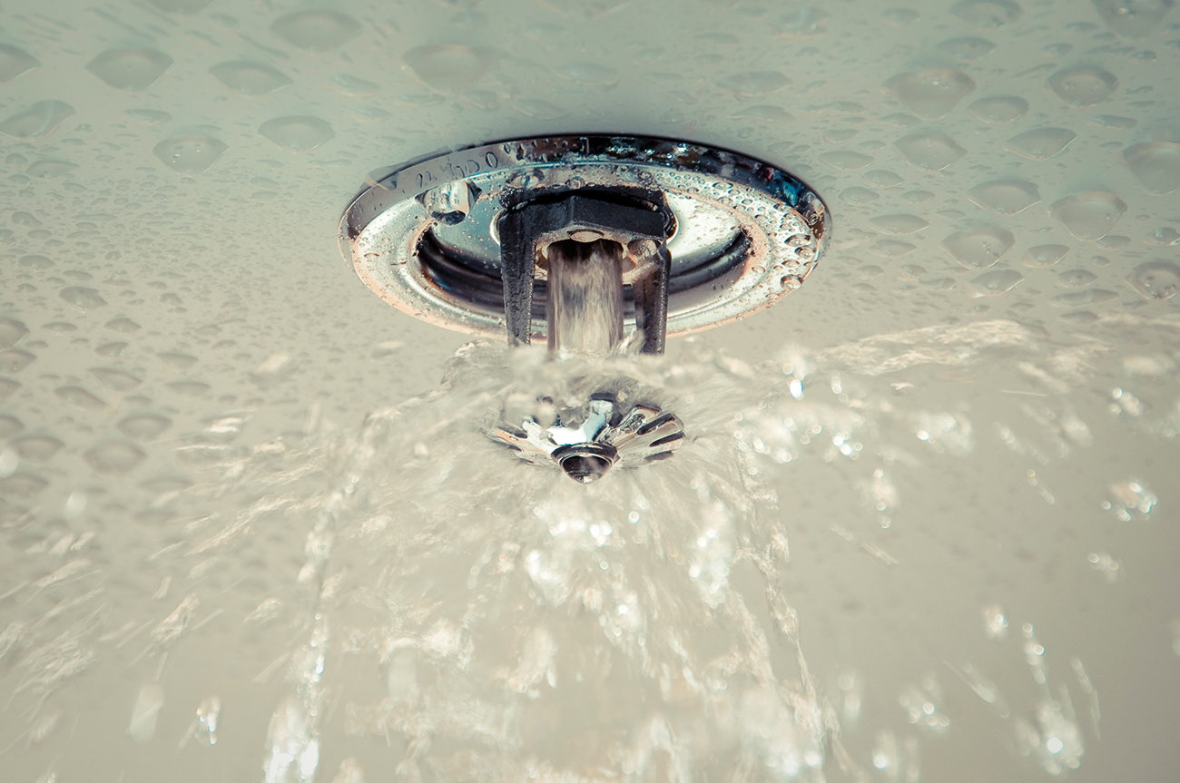 From AS 2118.1:2017, Automatic Fire Sprinkler Systems, to AS/NZS 1221:1997 REC:2020, Fire Hose Reels, and more, most in the industry utilise standards every workday.