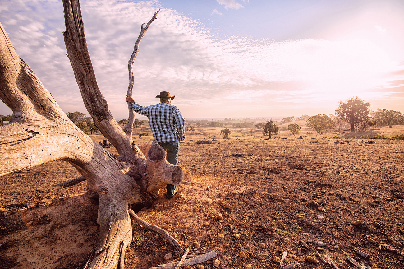 Over the last 101 years, thousands of standards have been created to help build and protect Australia’s most beloved national icons, mitigate risk from disasters and contribute to the overall net benefit of the nation.